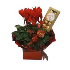 Large Red Cyclamen &amp; chocolates