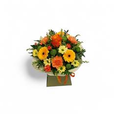 Citrus burst box arrangement