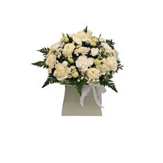 Neutral box arrangement