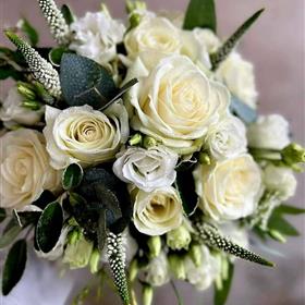 fwthumbFB_IMG_1690143045796.jpg